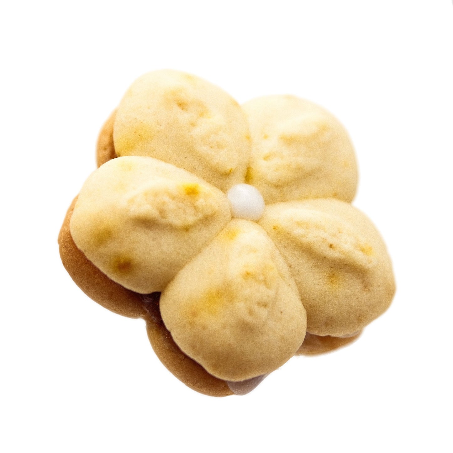 Side view showing layers of the Signature Susie K Cookie with bright apricot jam and flecks of citrus zest.